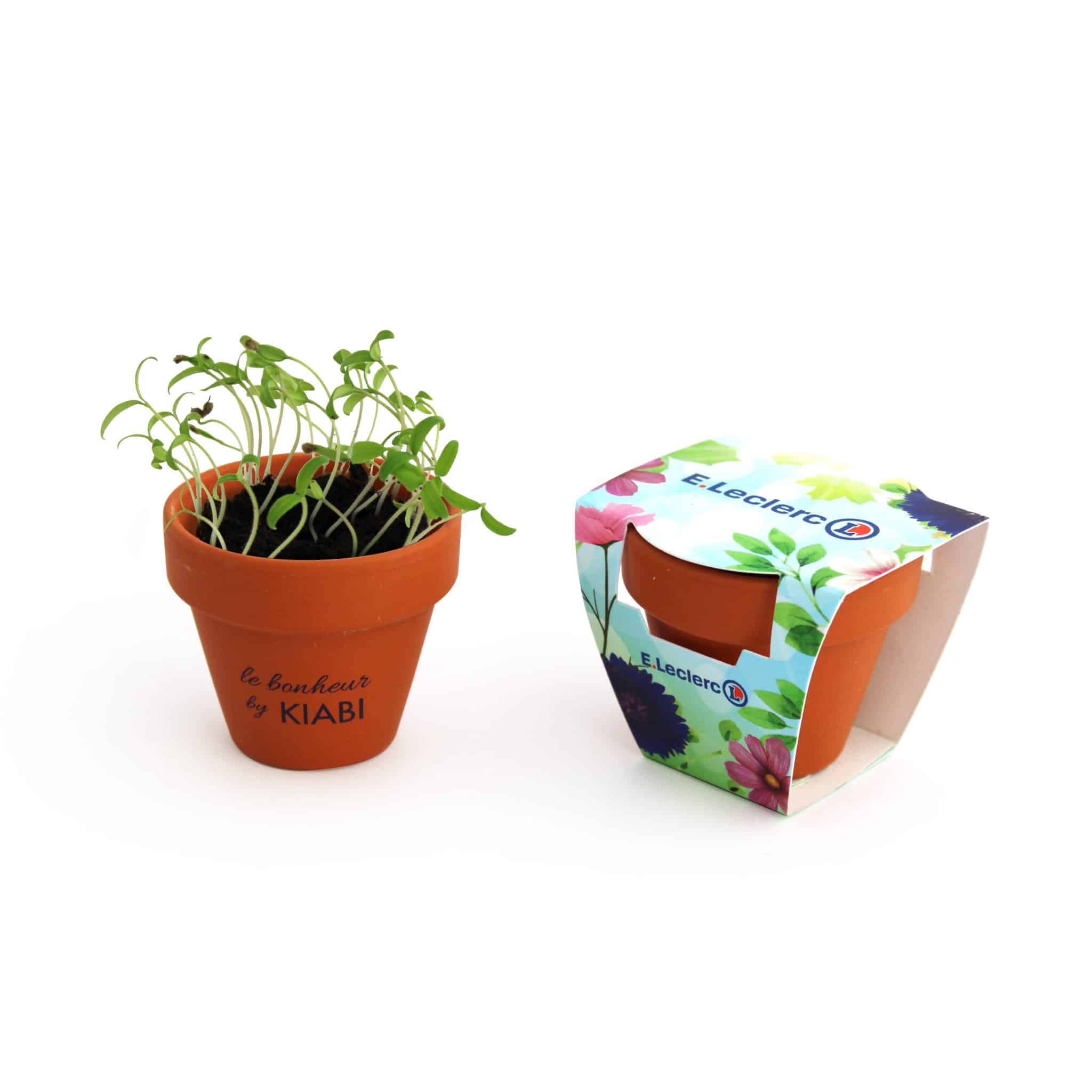 Miniature 4 pour Kit de plantation terre cuite - Petit modèle pot 6 cm