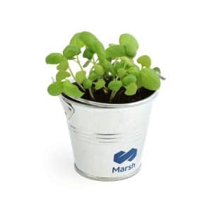 Visuel Kit de plantation pot zinc 7 cm