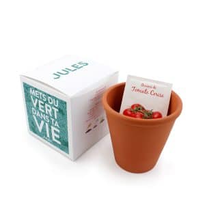Visuel Le cube de plantation 70x70x70 mm