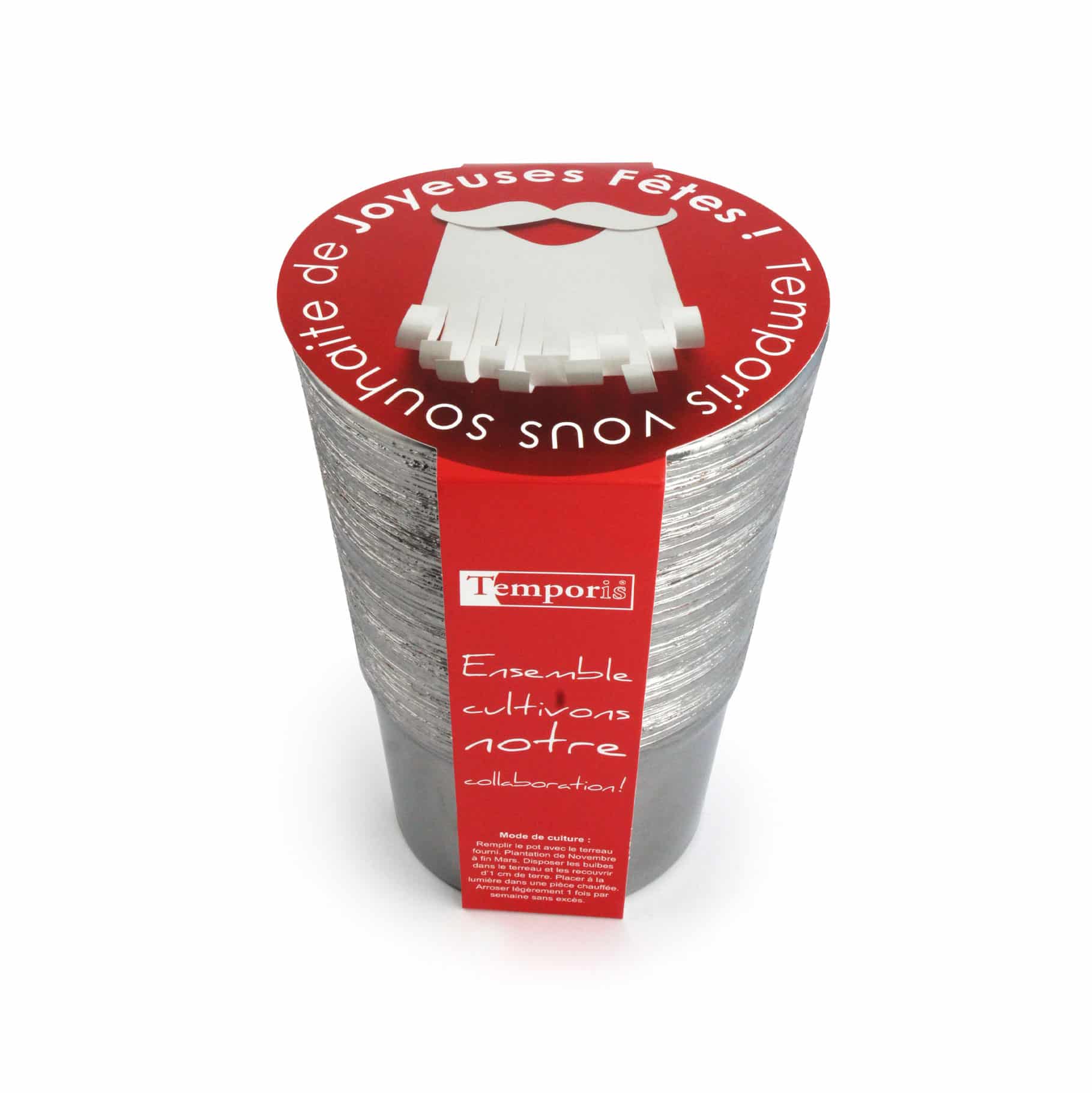 Miniature 2 pour Bulbes de Noël en pot argent