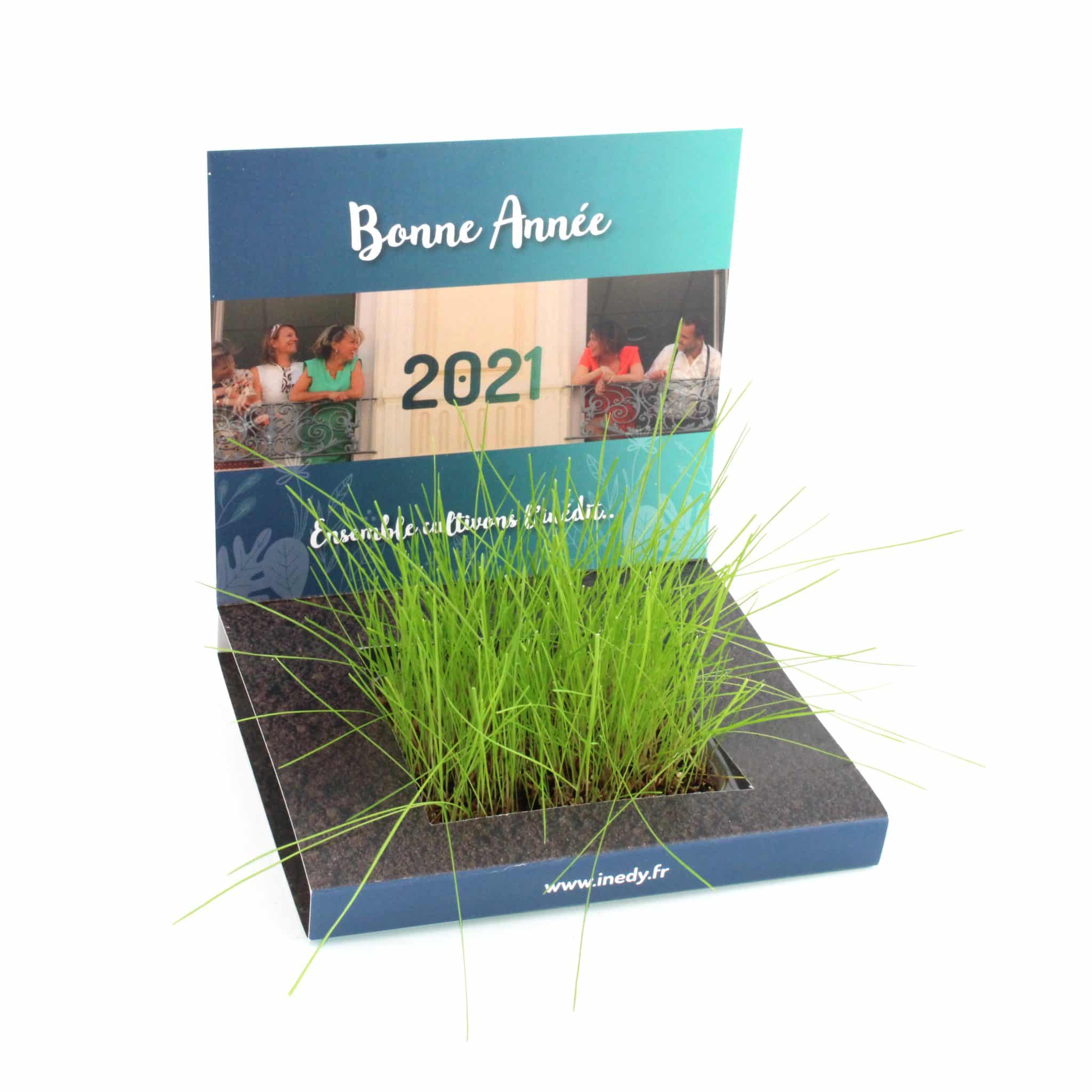 Miniature 2 pour Carte Jardin
