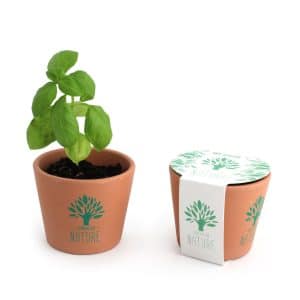Visuel Kit de plantation ceramique