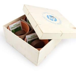 Visuel Coffret Aromatique Bois