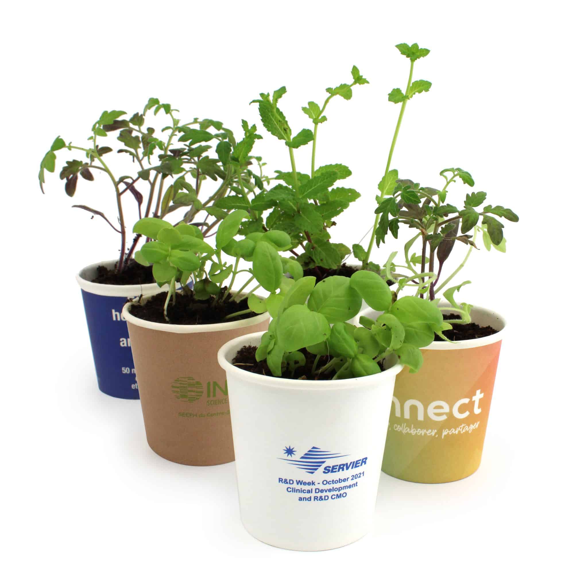Miniature 4 pour Kit plantation Pot Carton