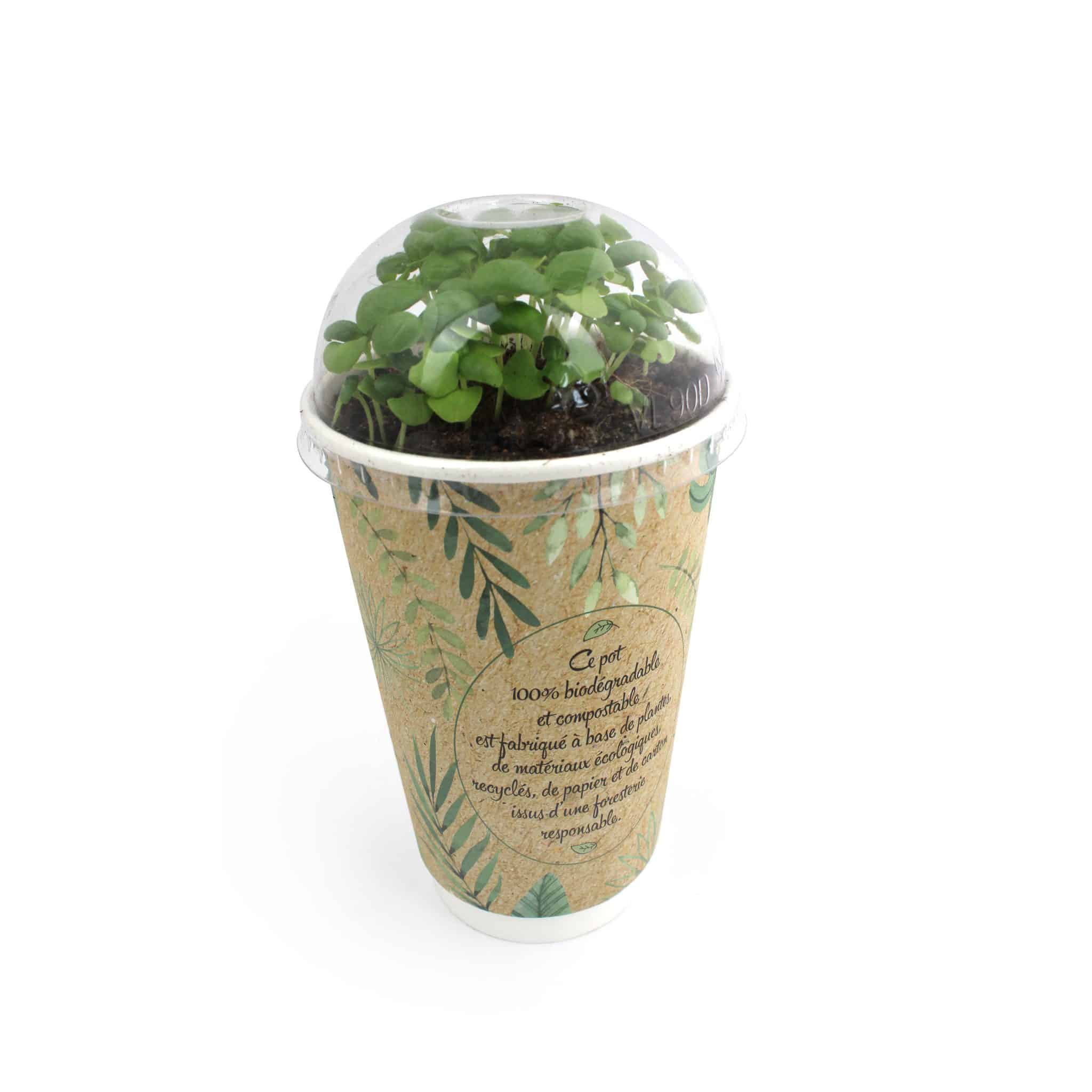 Miniature 3 pour Smoothie à graines