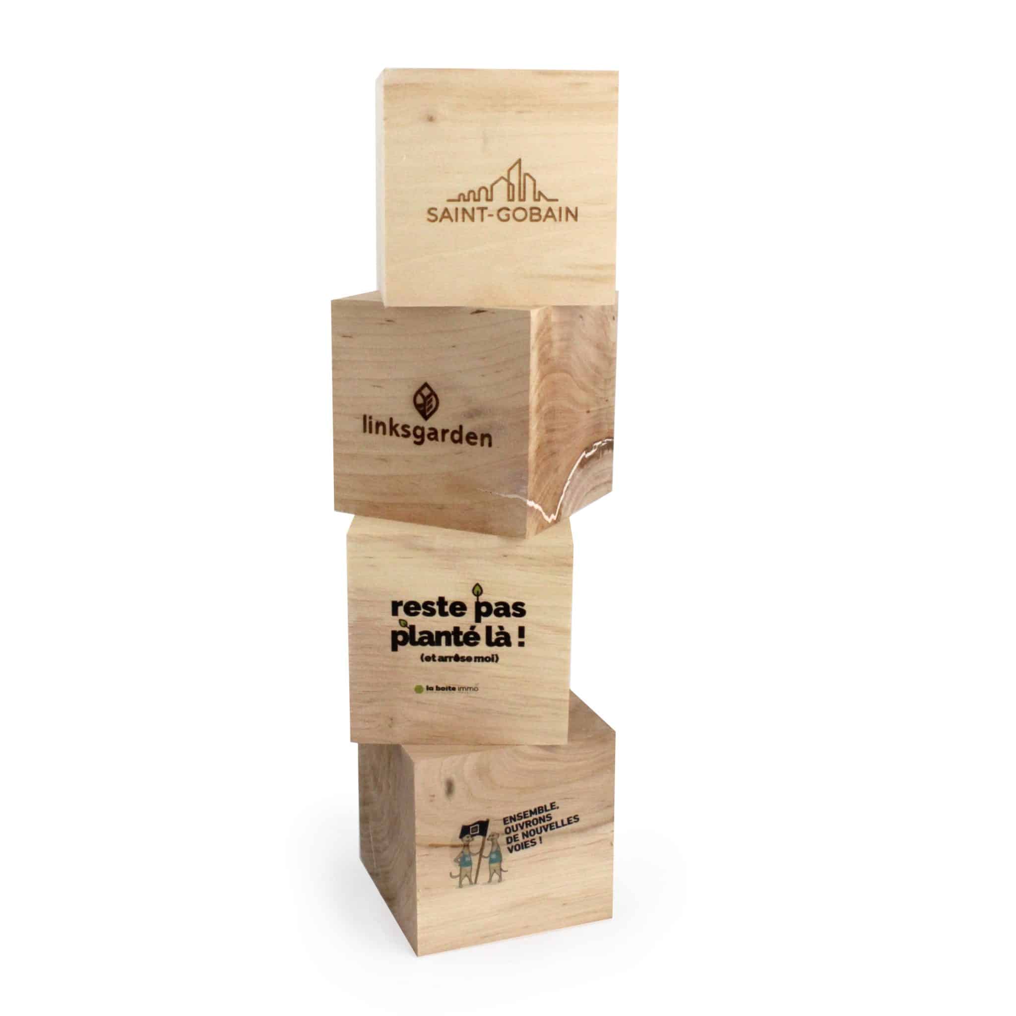 Miniature 2 pour Cube bois Graines