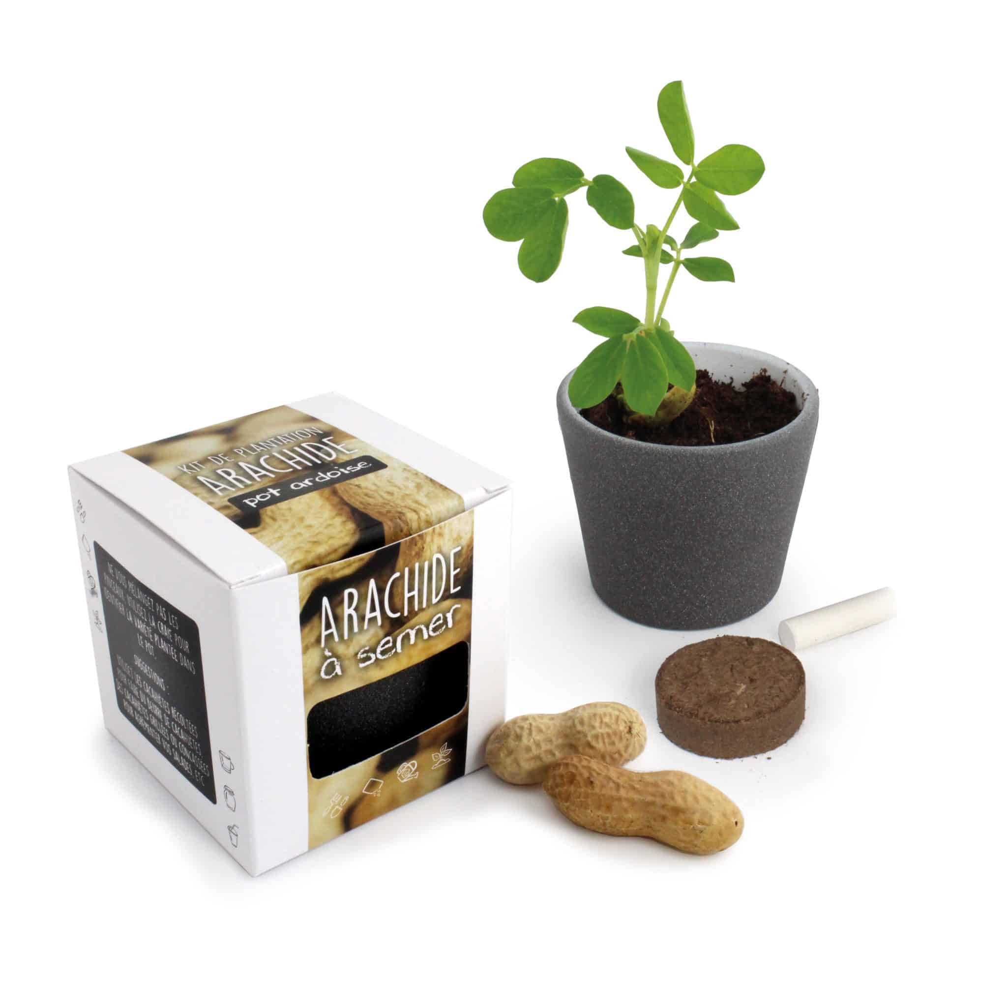 Miniature 1 pour Pot à Graines Cube ARDOISE - Arachide