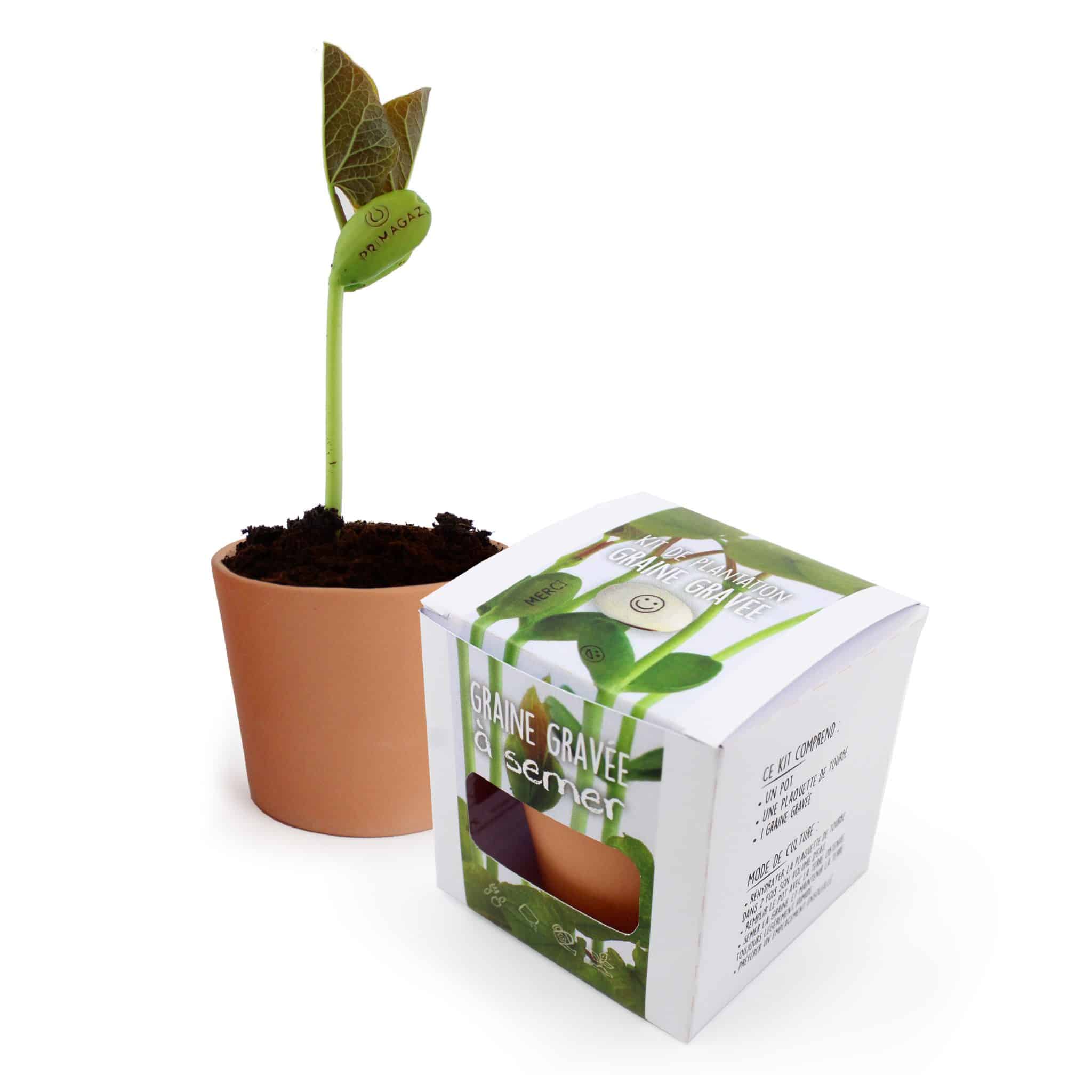Miniature 2 pour Pot à Graines Cube ARDOISE