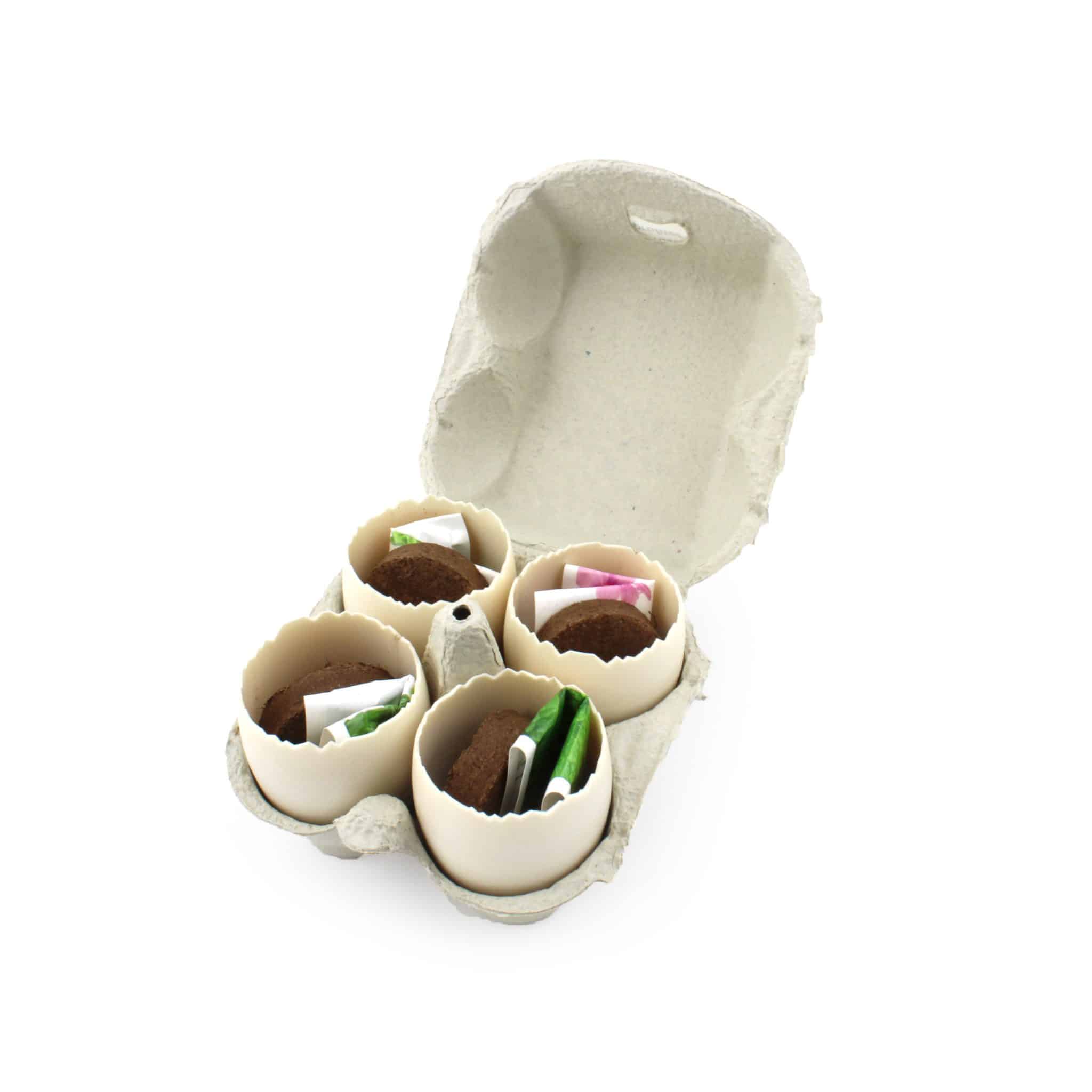 Miniature 2 pour La Boîte 4 oeufs à graines