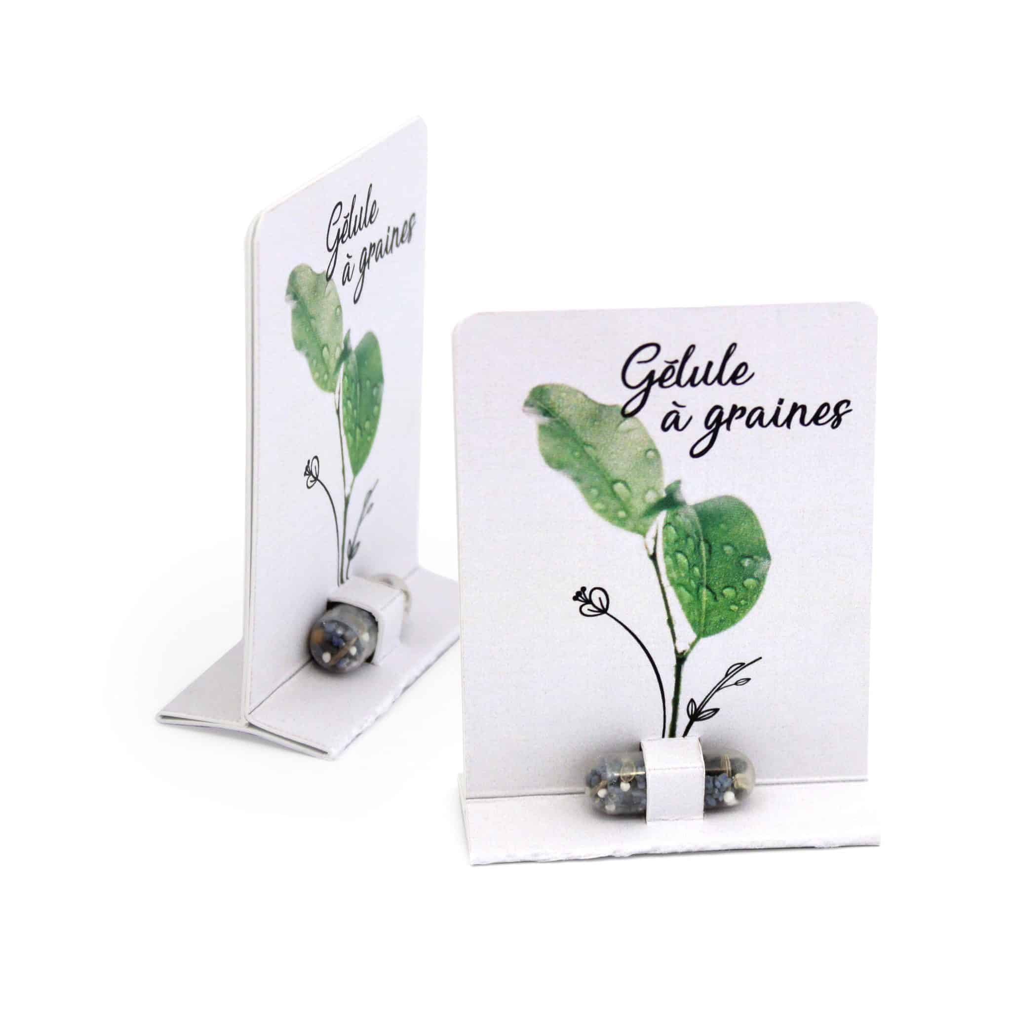 Miniature 1 pour Gélule de graines