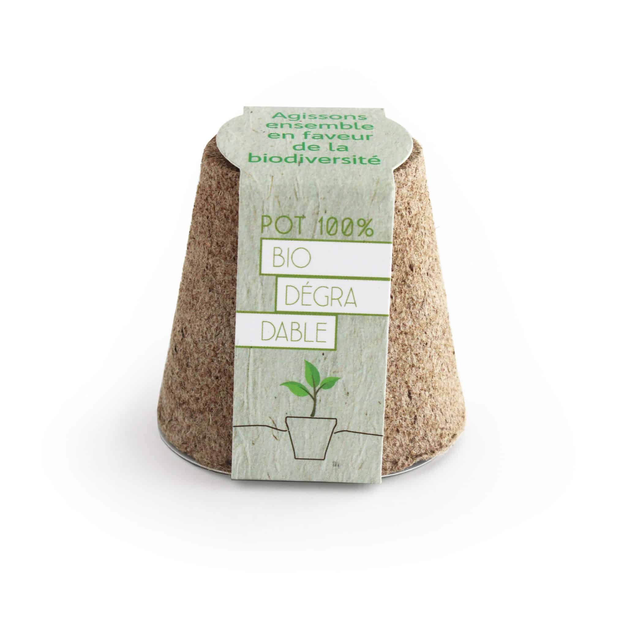 Miniature 1 pour Kit arbre avec pot tourbe