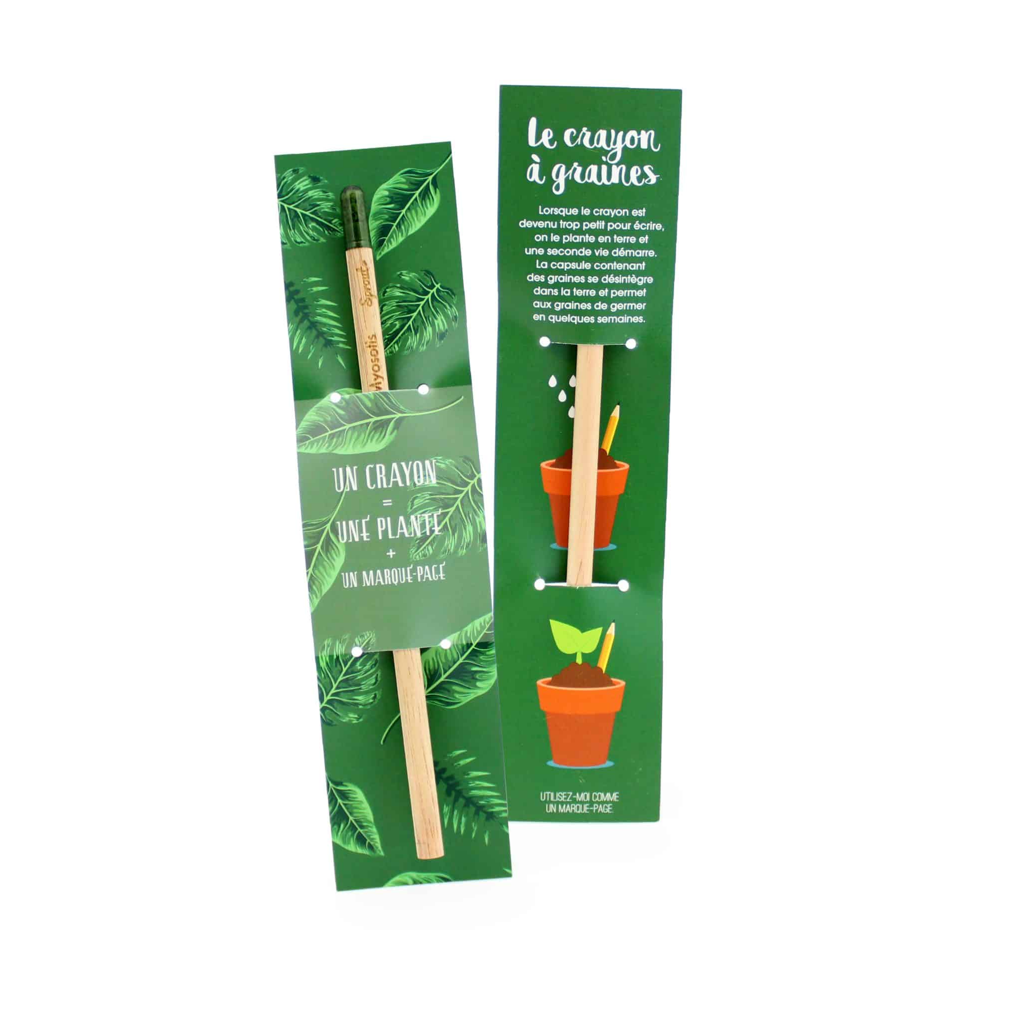 Miniature 4 pour Crayon à graines + etui