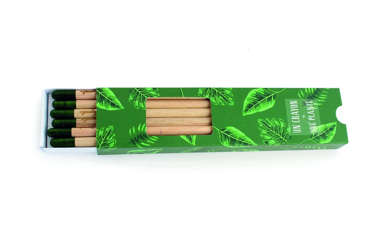 Miniature 1 pour Coffret 6 crayons à graines couleur