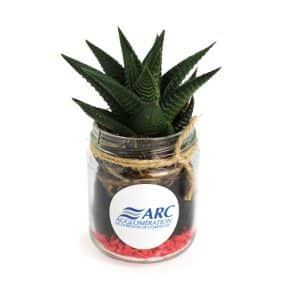 Visuel Plante en bocal