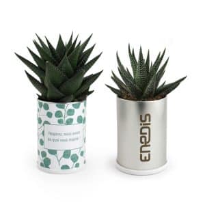 Visuel Canette à plante