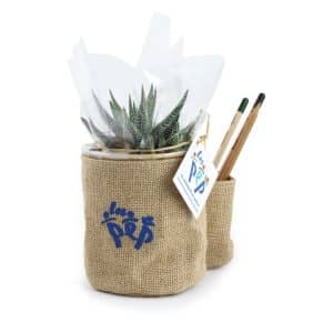 Visuel Pots en jute