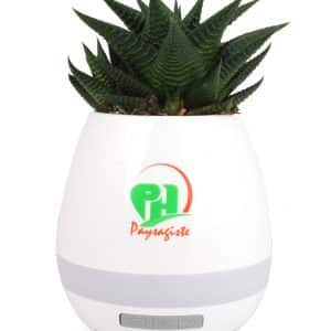 Visuel Pot musical Plantes - Pot de fleur haut-parleur