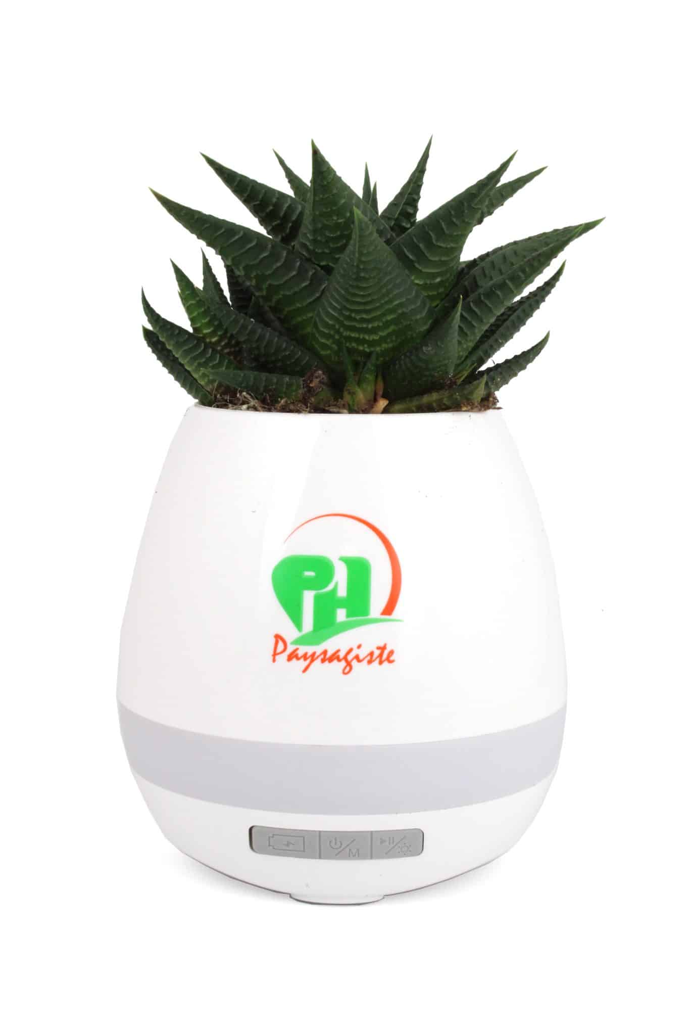 Miniature 1 pour Pot musical Plantes - Pot de fleur haut-parleur