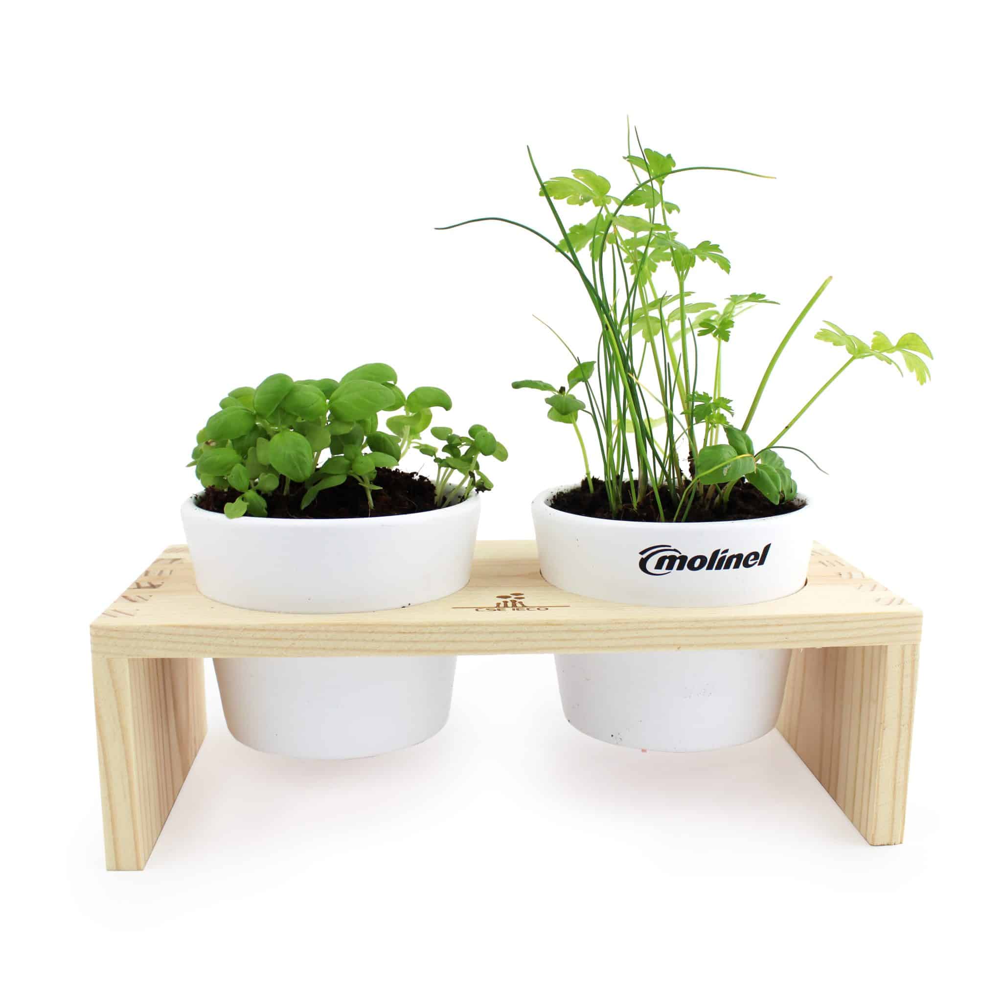 Miniature 1 pour Double Pot et bois