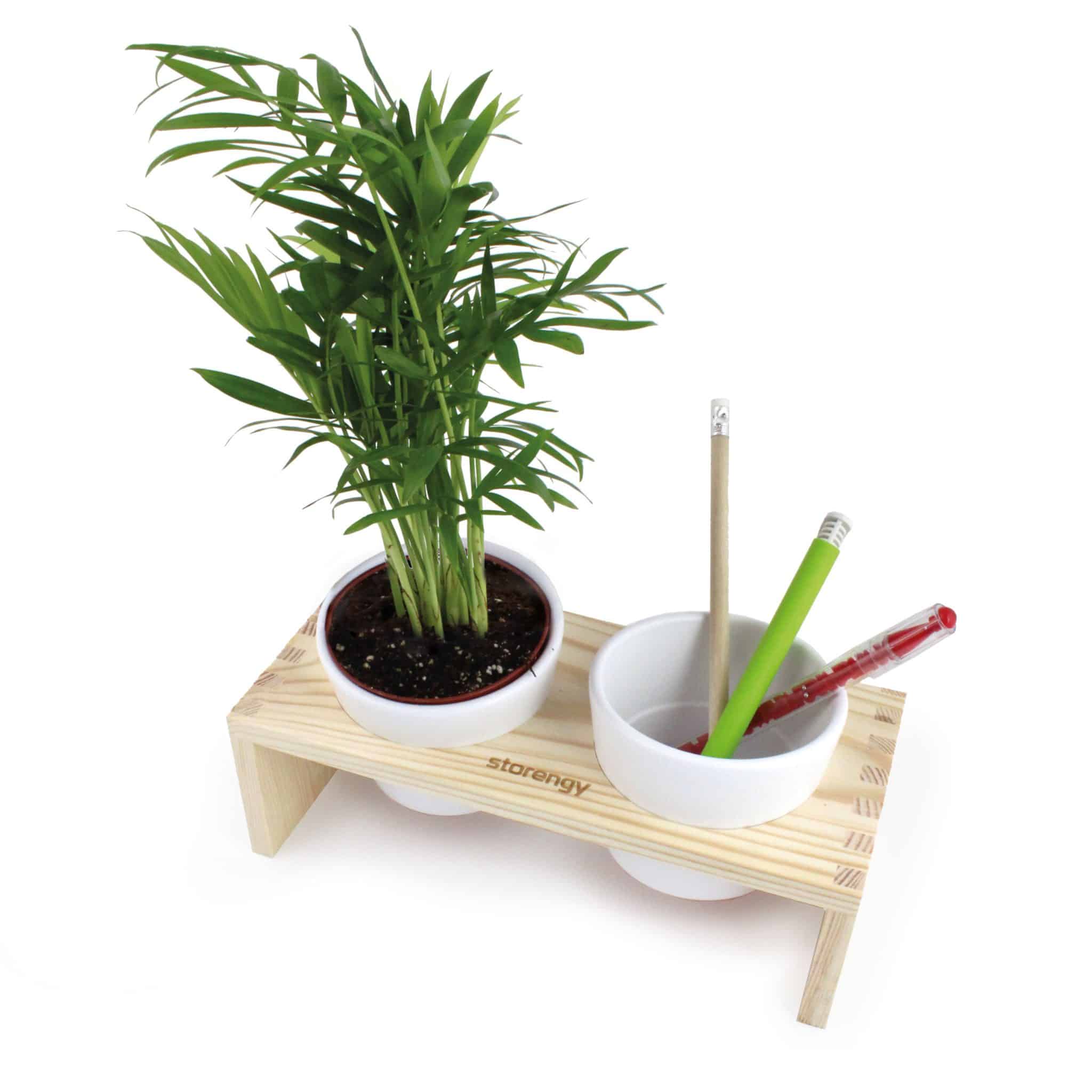 Miniature 2 pour Double Pot et bois