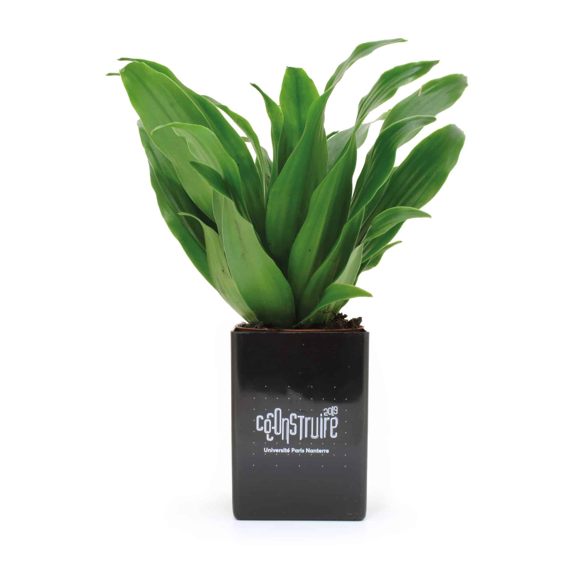 Miniature 1 pour Le Pot ' Ordi