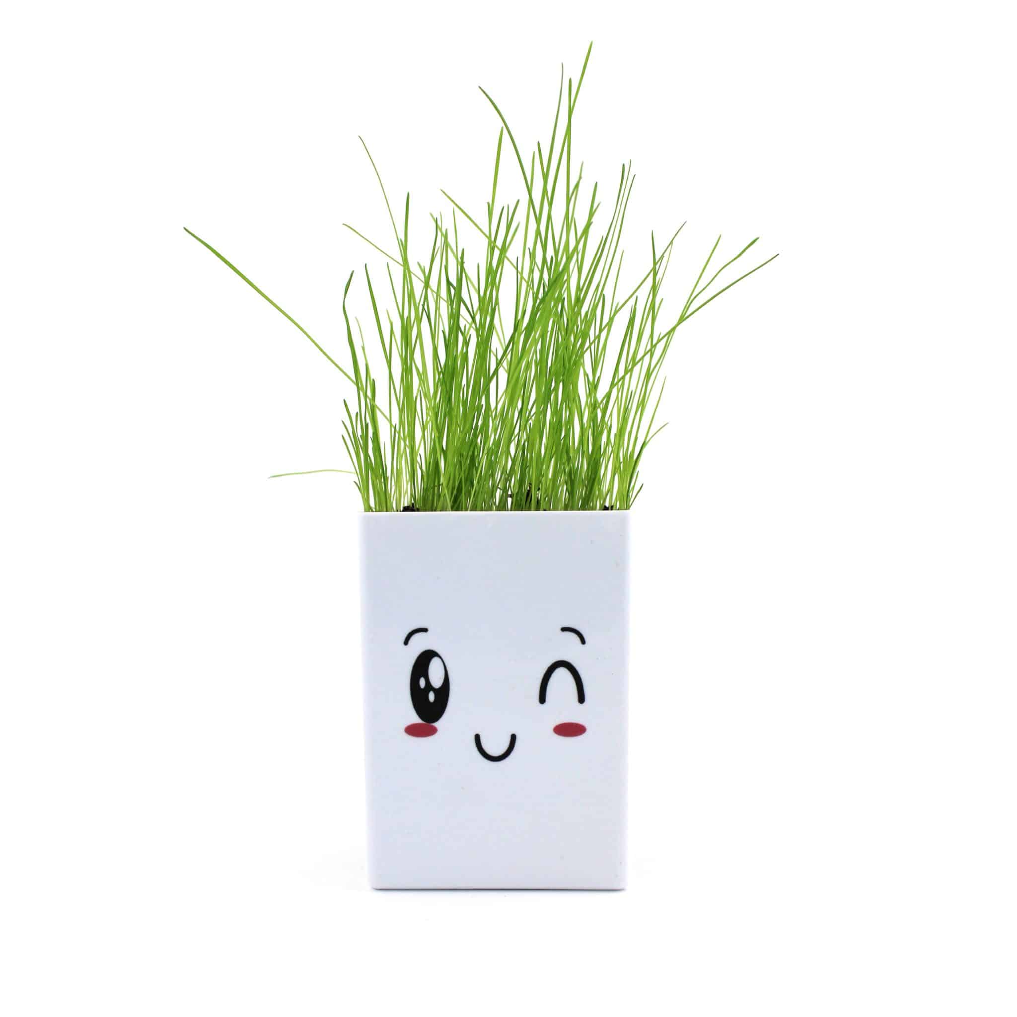 Miniature 1 pour Le Pot Ordi Kit