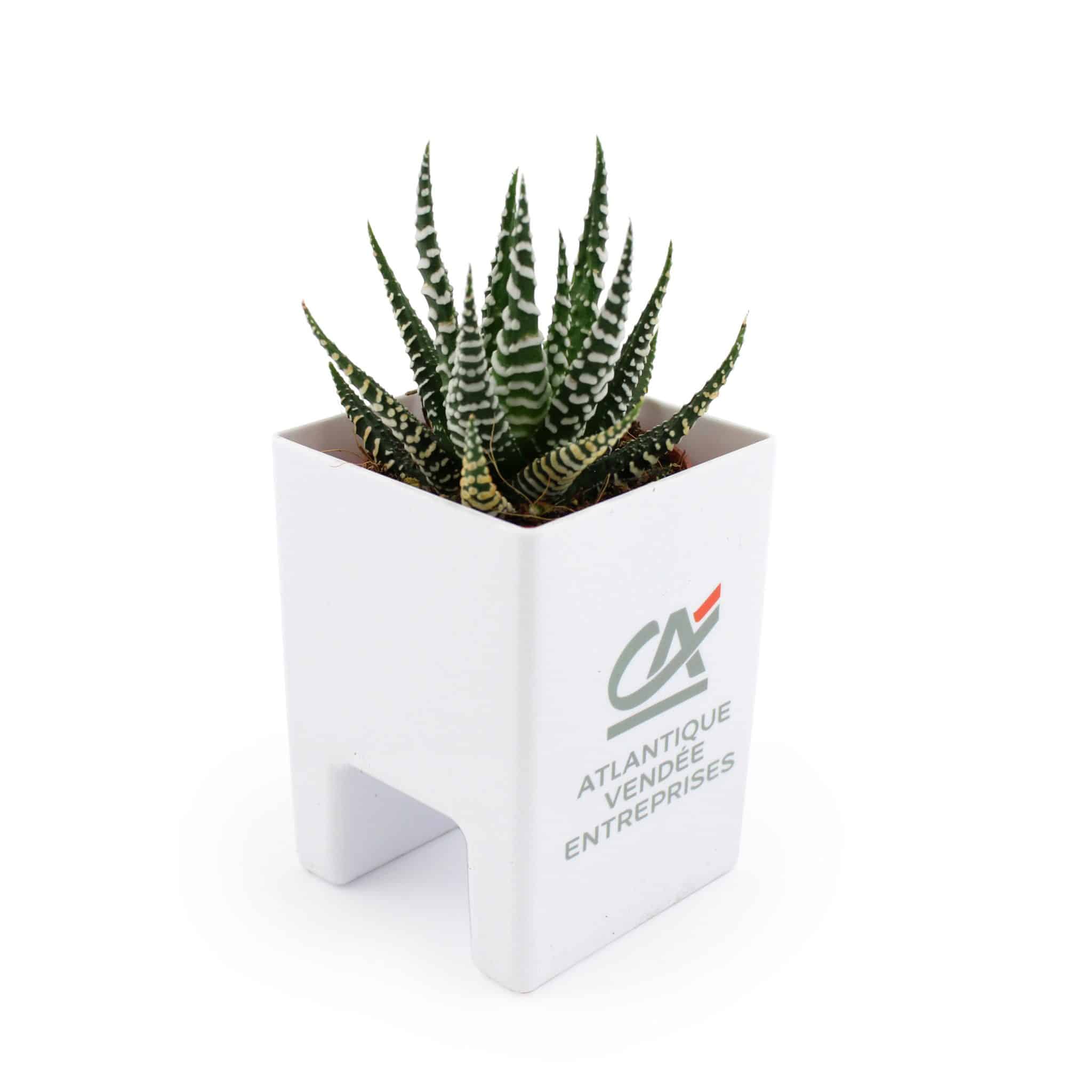 Miniature 4 pour Le Pot ' Ordi