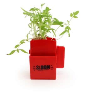 Visuel La Végétal- Box plante