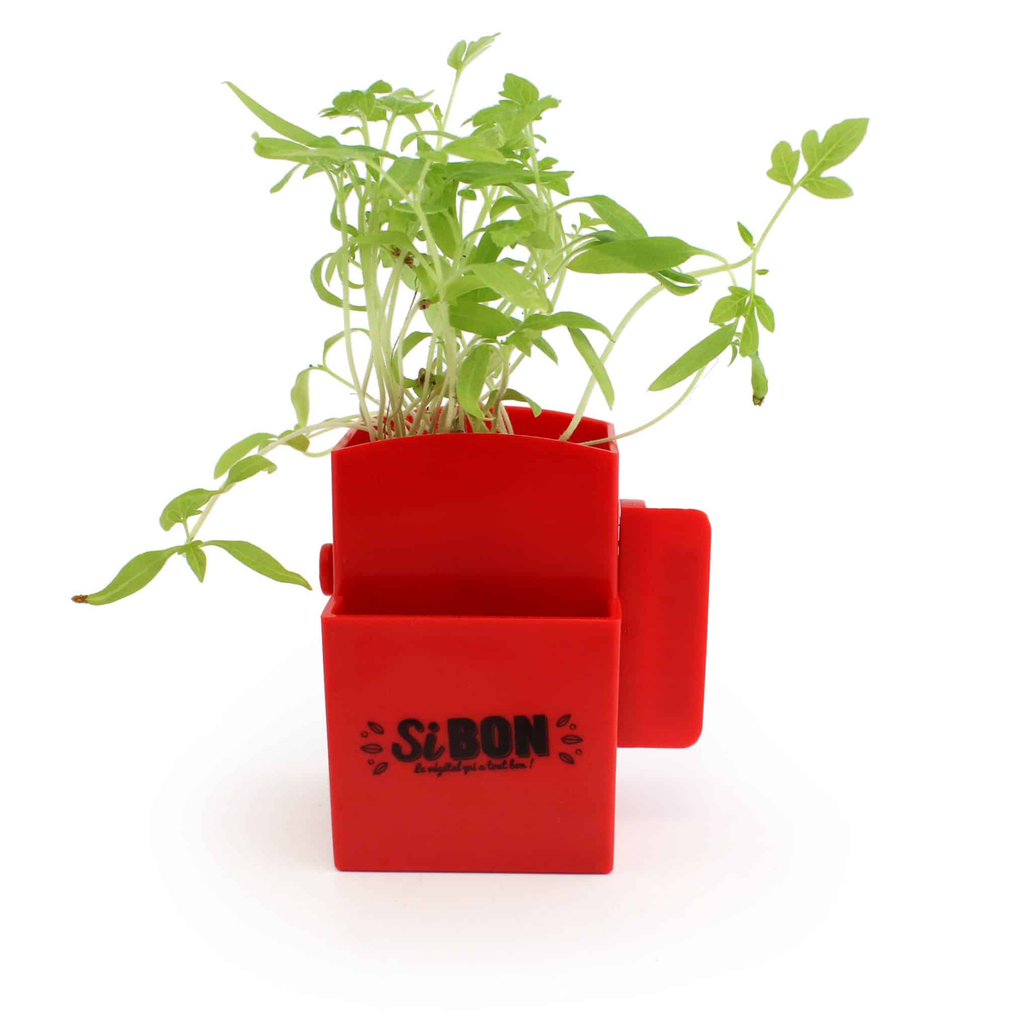 Miniature 1 pour La Végétal- Box Kit