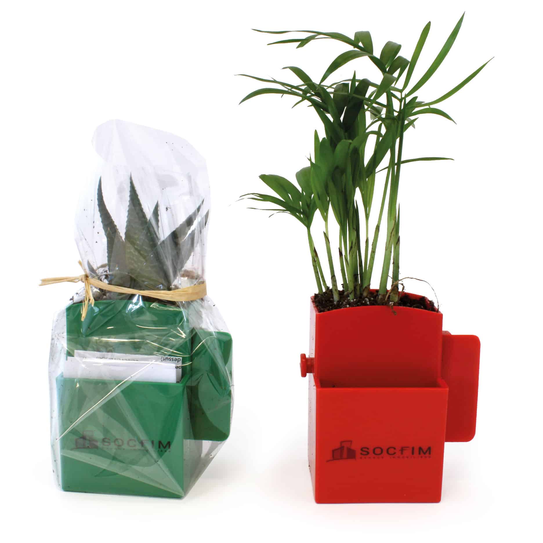 Miniature 2 pour La Végétal- Box plante