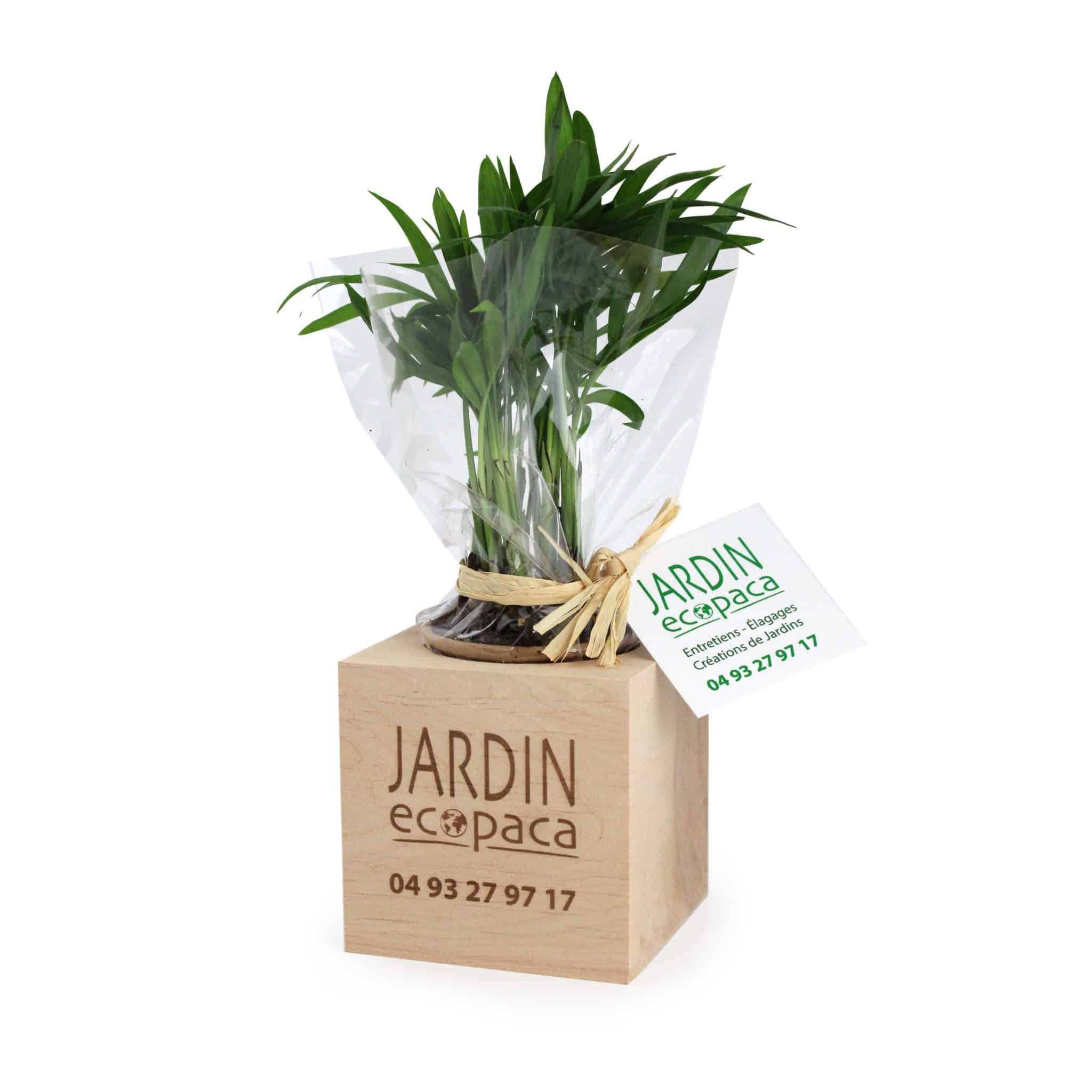 Miniature 1 pour Cube Bois Arbre