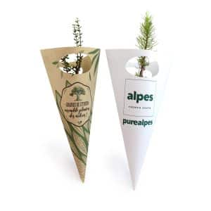 Visuel Plant d'arbre en cornet kraft - Résineux