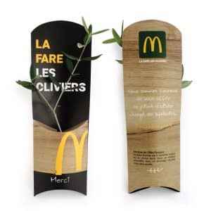 Visuel L'Etui Arbre - Feuillus