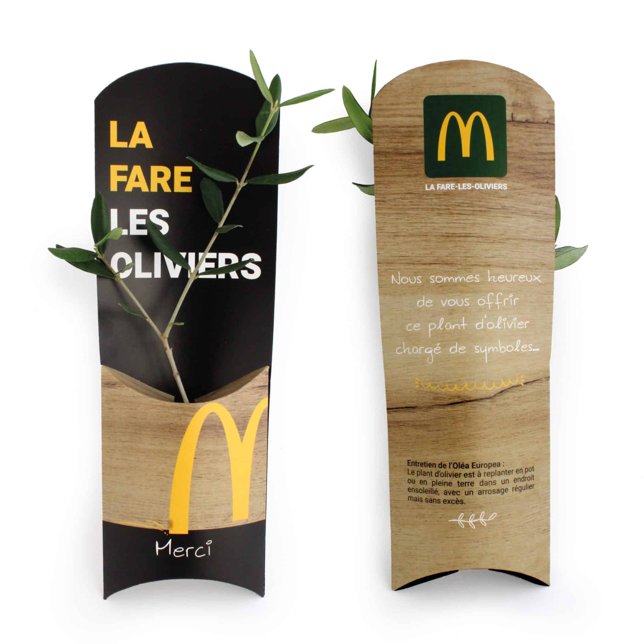 Miniature 1 pour L'Etui Arbre - Résineux