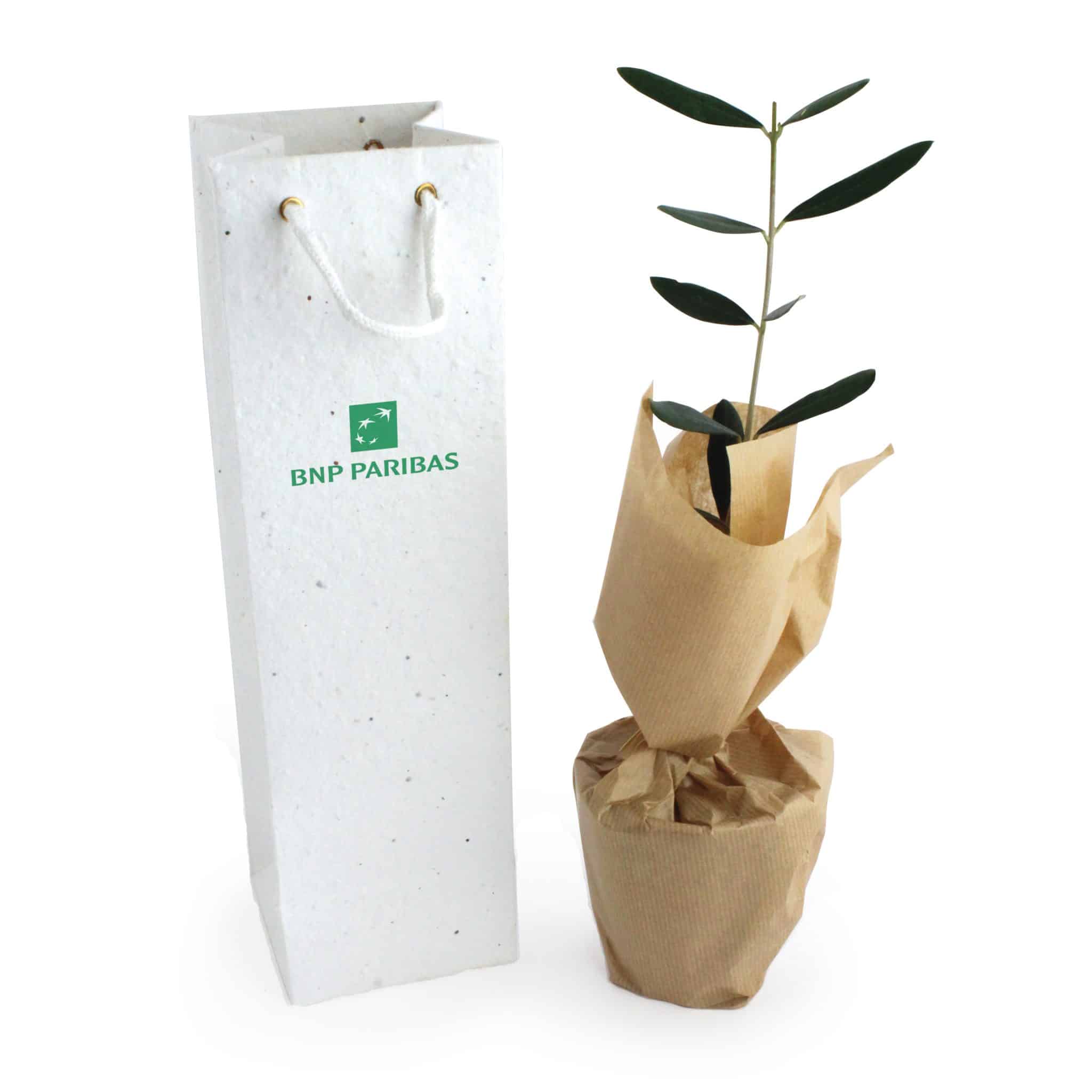 Miniature 2 pour Plant d'arbre en sac kraft - Résineux