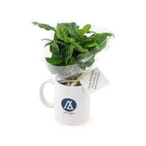 Visuel Caféier en mug