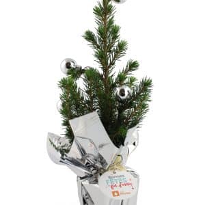Visuel Sapin de Noël avec déco
