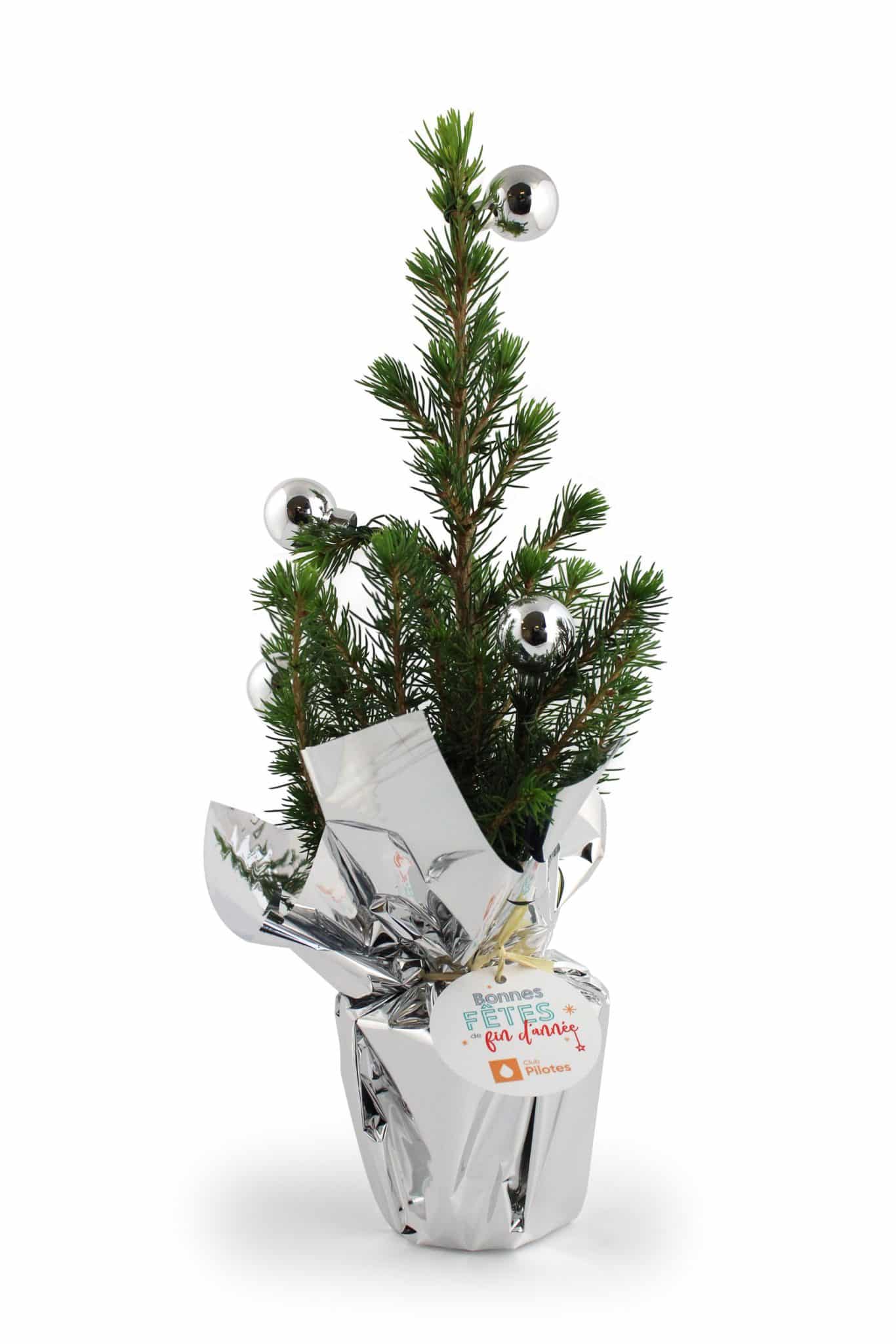 Miniature 2 pour Sapin de Noël