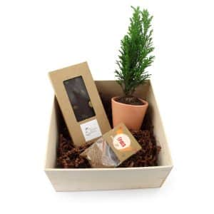 Visuel Le Coffret Chocolat