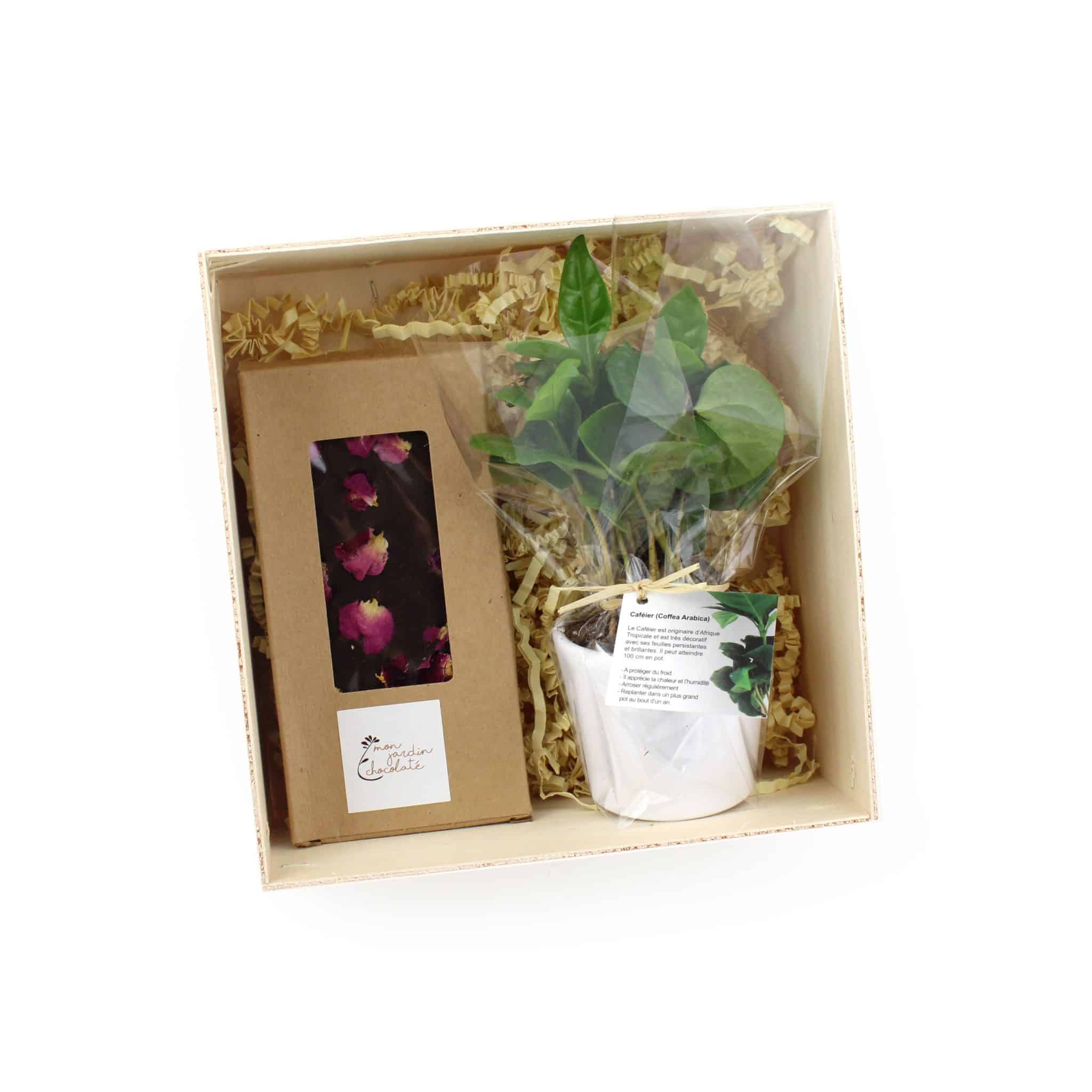 Miniature 2 pour Le Coffret Caféier
