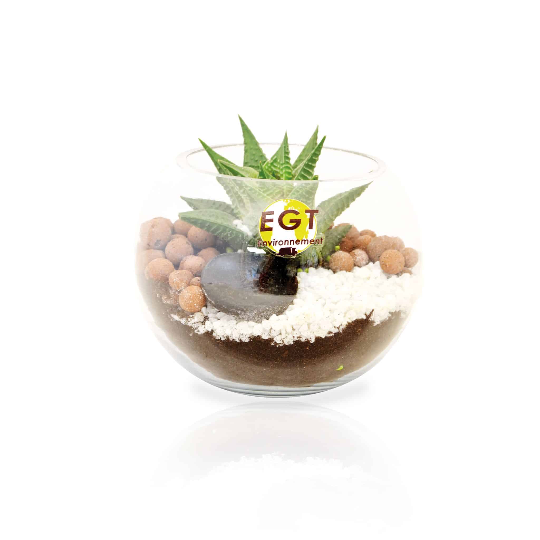 Miniature 1 pour Mini Terrarium Tillandsia en bouteille