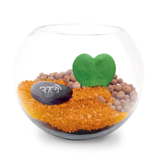 Miniature 5 pour Terrarium Grand modèle