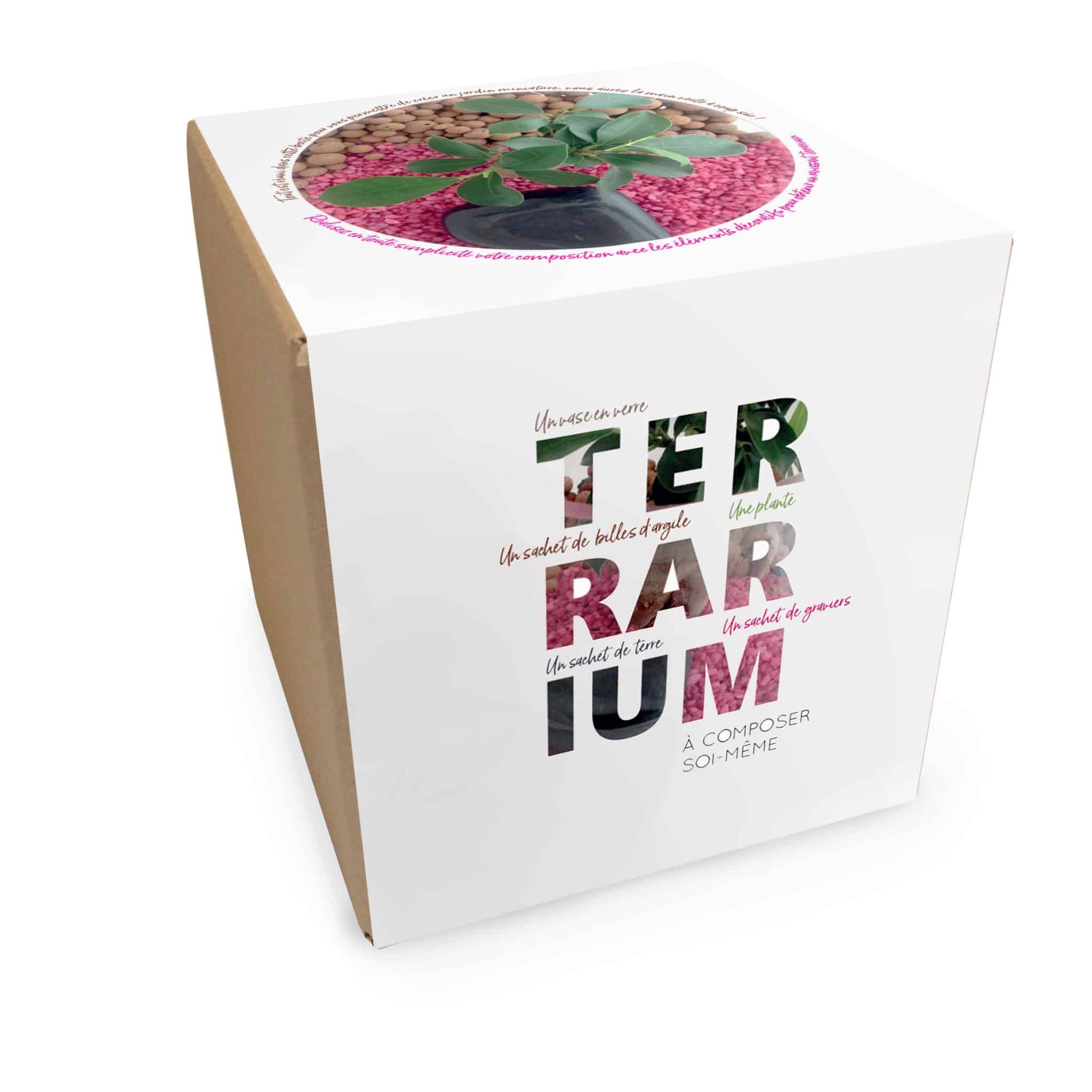 Miniature 6 pour Terrarium Grand modèle