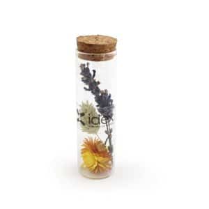Visuel Tube fleurs séchées