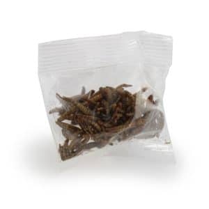 Visuel Insectes apéritifs en sachet