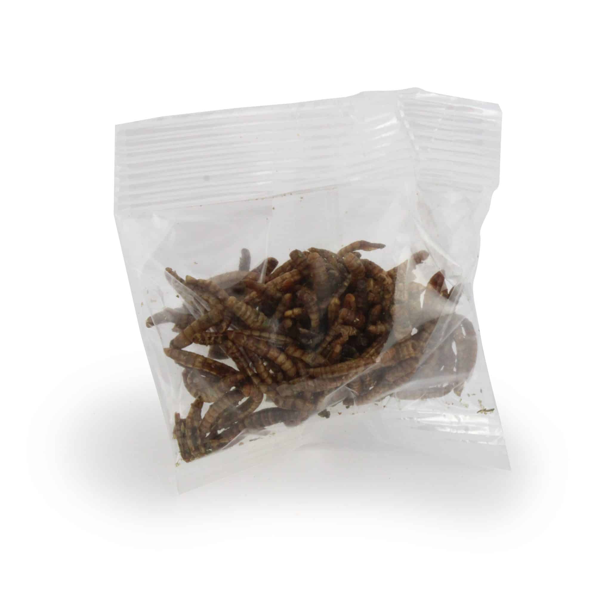 Miniature 1 pour Insectes apéritifs en sachet