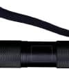 TORCH
