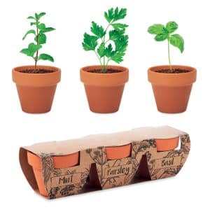Visuel Flowerpot