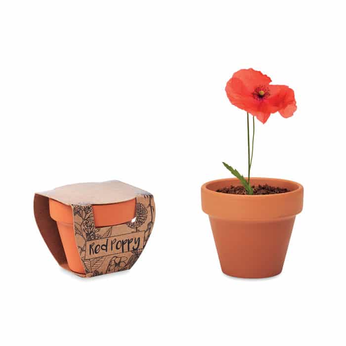 Miniature 1 pour Red poppy
