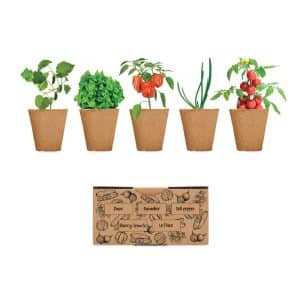 Visuel Salad